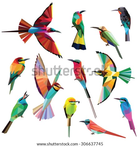 Birds-set of colorful meropidae birds low poly design isolated on white background.Southern,Northern Carmine bee eater,Blue tailed bee eater,Black, Green bee eater,White fronted,Red bearded bee eater.