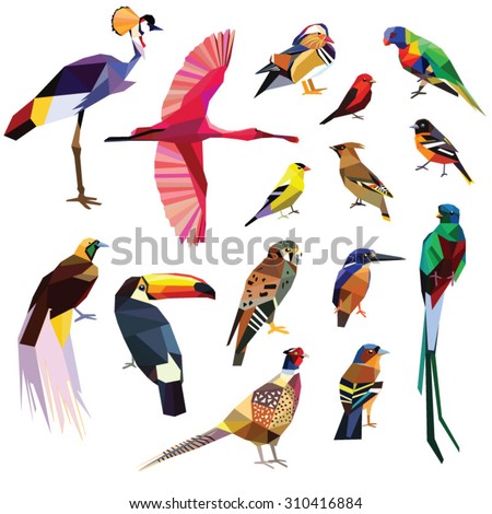 Birds-set colorful birds low poly design isolated on white background.Crowned crane,Kestrel,Finch,Kingfisher,Oriole,Waxwing,Bird of paradise,Duck,Pheasant,Quetzal,Lorikeet,Spoonbill,Tanager,Toucan.