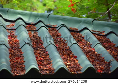 Fall leaves on the roof.