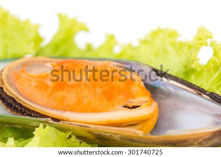 Thailand Food,mussels isolated on white background.