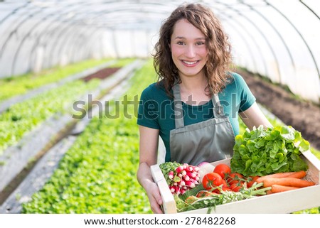 View of an Young attractive woman harvesting vegetable in a greenhouse