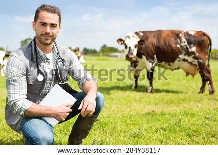 View of a Young attractive veterinary in a pasture with cows