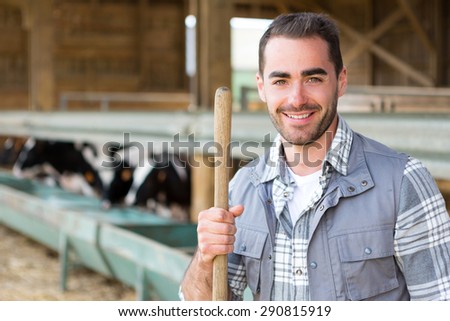 View of a Young attractive farmer in a barn with calf on the background