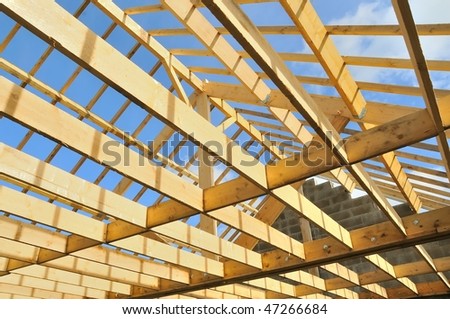 wood house Skeleton
