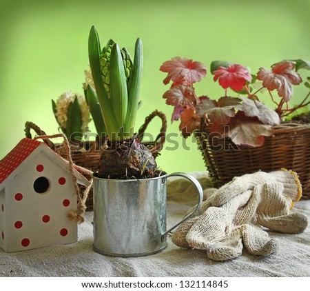 Still life with hyacinth, decorative birdhouses and gloves for the job.