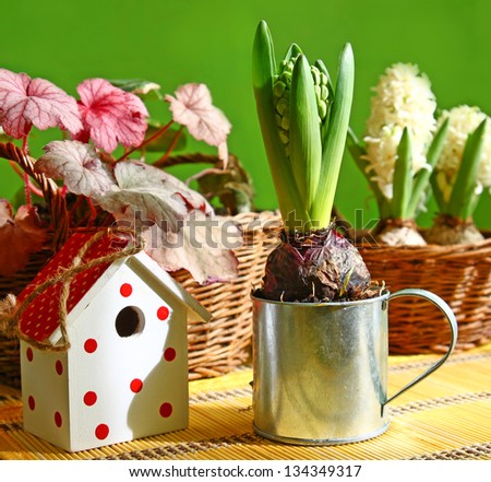 Still life with hyacinth, decorative birdhouses and gloves for the job.