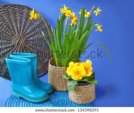 Child\'s little blue rubber gumboots and spring flowers daffodil and primula in basket on dark blue background
