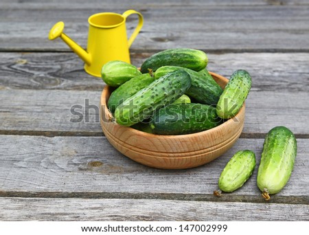 Fresh cucumbers in a wooden bowl on a background of yellow watering can