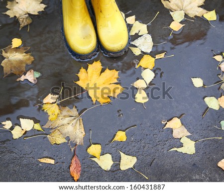 Feet in yellow rubber boots standing in a puddle, where yellow leaves float