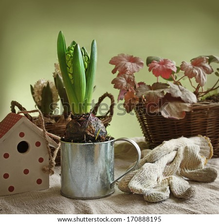 Still life with hyacinth, decorative birdhouses and gloves for the job. Retro toning