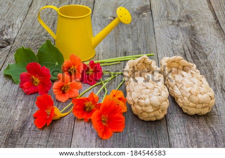 Rural still life with bast shoes, watering can and a bouquet of  nasturtium on a wooden background