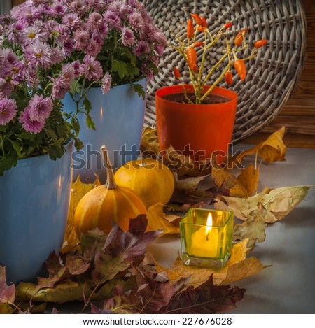 Pumpkin and chrysanthemum on the box next to  candle before the holiday
