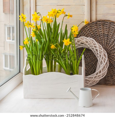 Yellow daffodils in balcony boxes for flowers and decorative watering can on the balcony