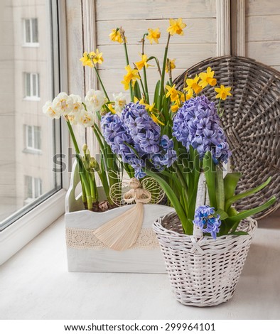 White and yellow daffodils and hyacinth in flower box decorated with an angel on the balcony window