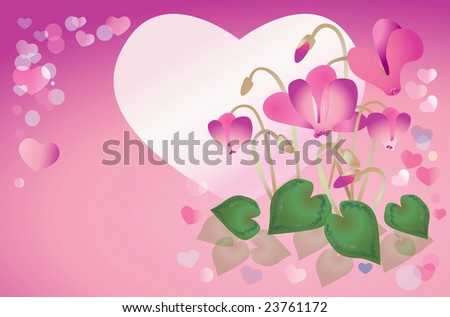 Spring background with cyclamens for congratulating or card on the day of sainted Valentine in the birthsday