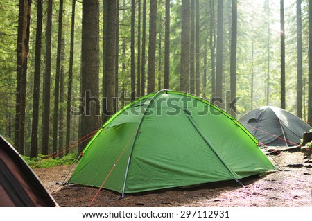 tents in the pine forest, rain and sun