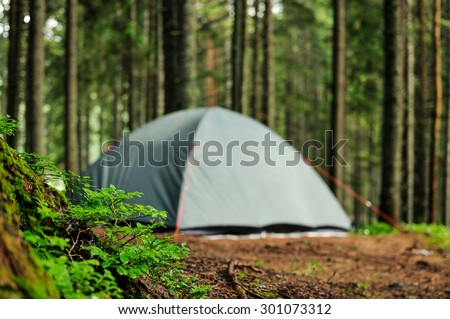 tent in the pine forest, rain and sun