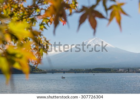 maple and view of Mount Fuji from Kawaguchiko in march.Snow-capped Mount Fuji with clear sky background.