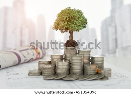 The tree are grow up on coins stack and the growth investment analysis report, business newspaper on desk of investor with city background. Concept of finance and investing.