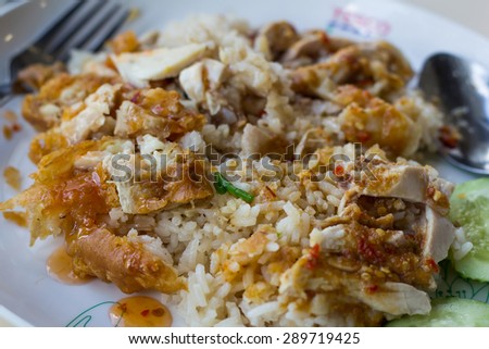 Chicken and Rice Clear focus on specific areas of the image./ soft Focus