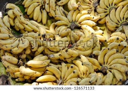 Banana bunches in a street market, Mysore (India)