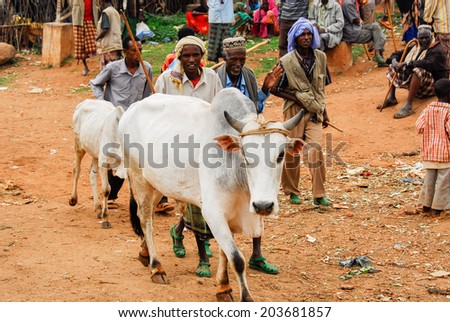 BABILE, ETHIOPIA - AUG 5: Various ethnic groups ethnic group of the Horn of Africa come to Babile market in Ethiopia to buy and sell cattle on August 5, 2007 in Babile, Ethiopia.