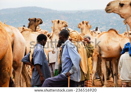 BABILE, ETHIOPIA - AUG 5: Various ethnic groups ethnic group of the Horn of Africa come to Babile camel market in Ethiopia to buy and sell camels on August 5, 2007 in Babile, Ethiopia.