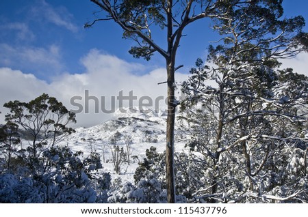 Snow covered landscape at Cradle Mountain National Park, Tasmania, Australia