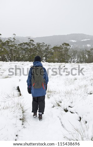 Woman hiking in snowy conditions, Cradle Mountain National Park, Tasmania, Australia
