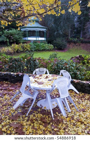 Outdoor furniture and Autumn leaves. Cataract Gorge, Launceston, Tasmania.