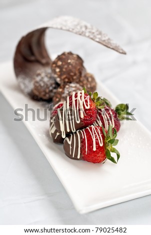 Strawberry and chocolate dessert creation on a rectangular serving plate