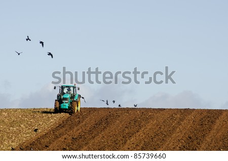 Farmer plowing field with circling crows. North west coast, Tasmania, Australia