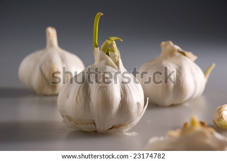 Set of three pieces of garlic on the grey mat with only one piece in focus.