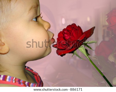 Smelling A Rose