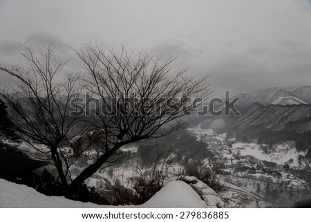 Photo take from the top of snow mountain, trees with background of small village.