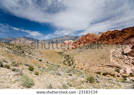 Red Rocks in the Red Rock Canyon National Reserve near Las Vegas, Nevada. Spring desert flowers in the foreground.