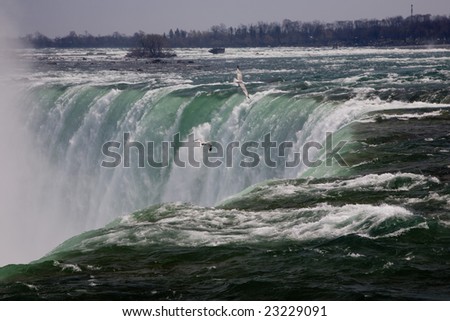 The Horseshoe Falls of Niagara Falls taken from the Canadian side showing seagulls fishing at the edge of falls.