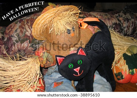 A scarecrow and black cat with green eyes make a great Halloween display