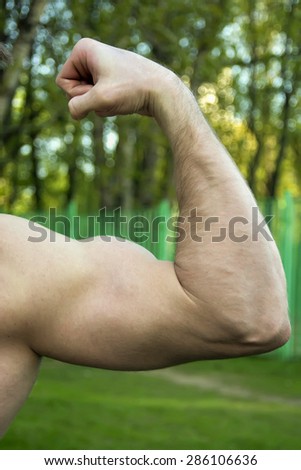 View of a muscle hand, strength and power
