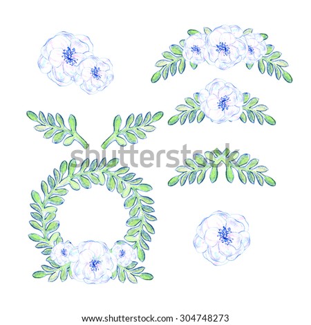 Watercolor floral. Isolated set of hand drawn leaves and flowers. Floral design for invitation, wedding or greeting cards. You can create your own compositions using elements.