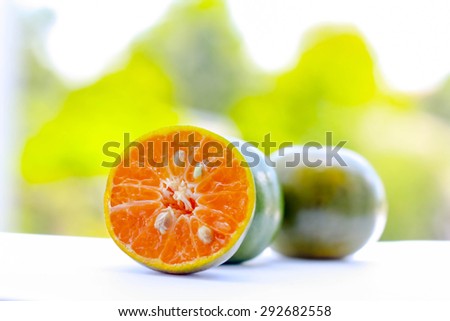 oranges and soft light and blurry background and defocus light background and the strong sunlight at noon