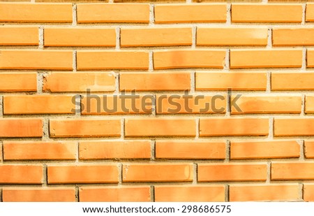 wall and brick wall is soft light background and de focus light background and be strong sunlight pass through tree at noon