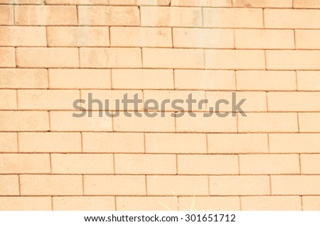 de focused wall and brick wall and be strong sunlight at noon and blurry background and vintage style
