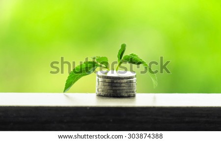 save money concept and coins tree and coins
