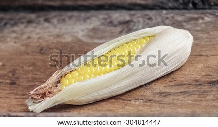 steamed corn is isolated and be strong sunlight and low light