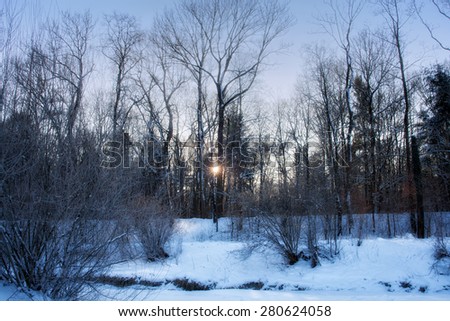 Sun in winter forest. Winter landscape. Winter wonderland. Winter background.