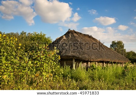 Rural landscape with a kind on an old house and a green blossoming garden