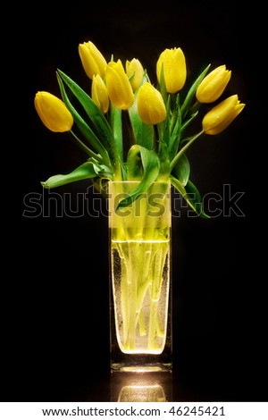 Bouquet of yellow tulips in a glass vase on a black background