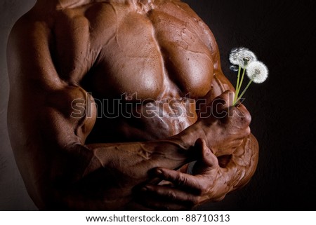 Muscular chest and hands holding dandelions