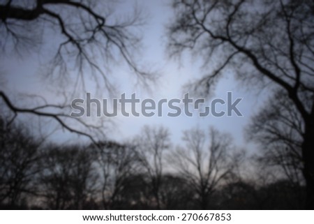 Sky over the trees, background. Intentionally blurred editing post production.